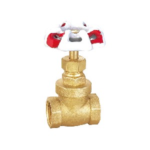 Chinese manufacture high quality brass gate valve A-6006