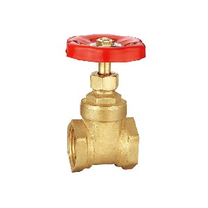 Special hot selling brass gate valve A-6008