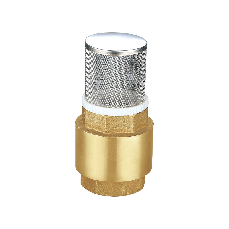 Brass universal check vale with filter A-8002